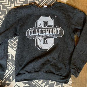 American Apparel F496 crewneck